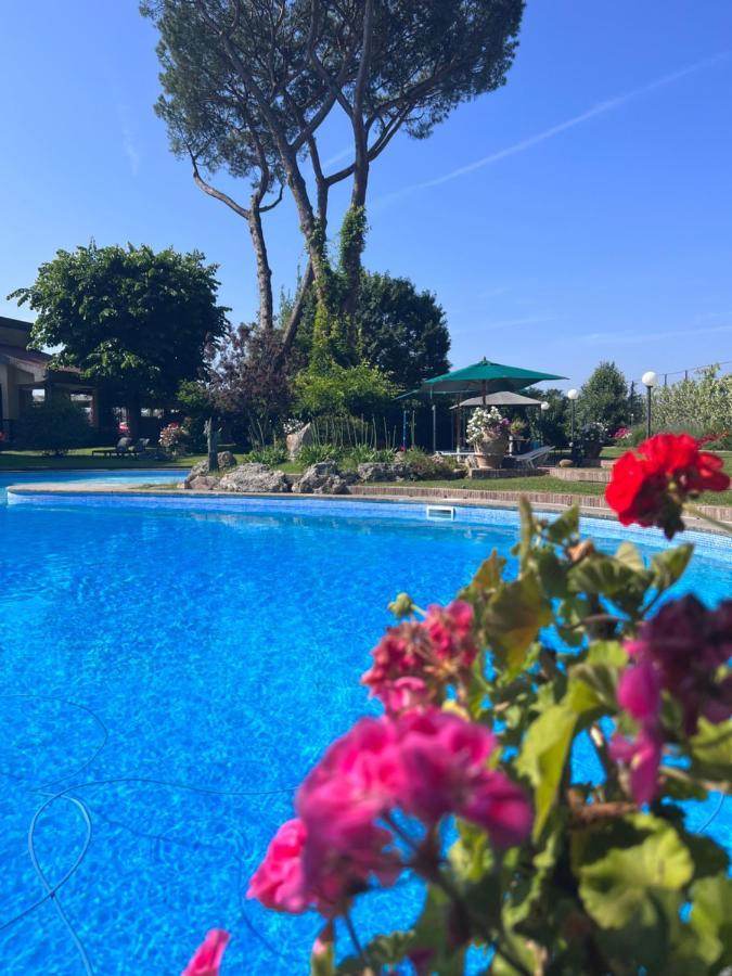 Albina Bed and breakfast Roma