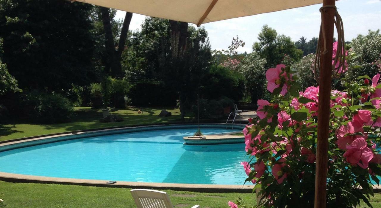 Albina Bed and breakfast Roma