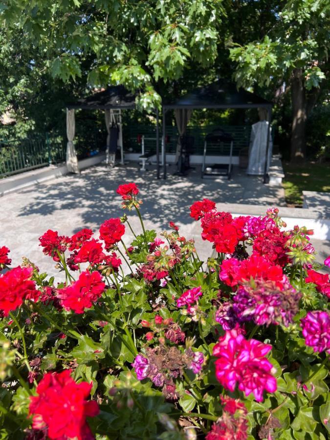 Bed and breakfast Albina 3*